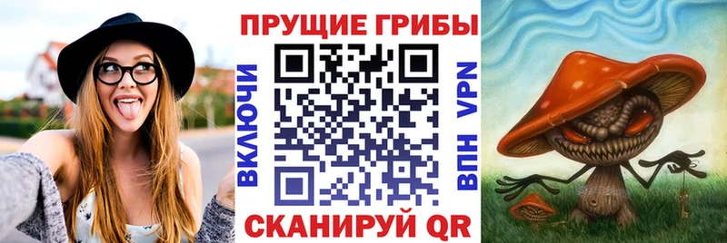 Псилоцибиновые грибы мицелий  Мглин 
